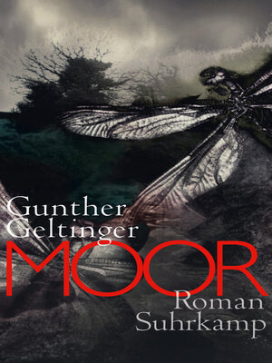 cover image of Moor